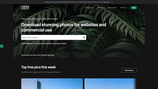 Burst shopify stock website screenshot.